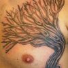 chest-tree